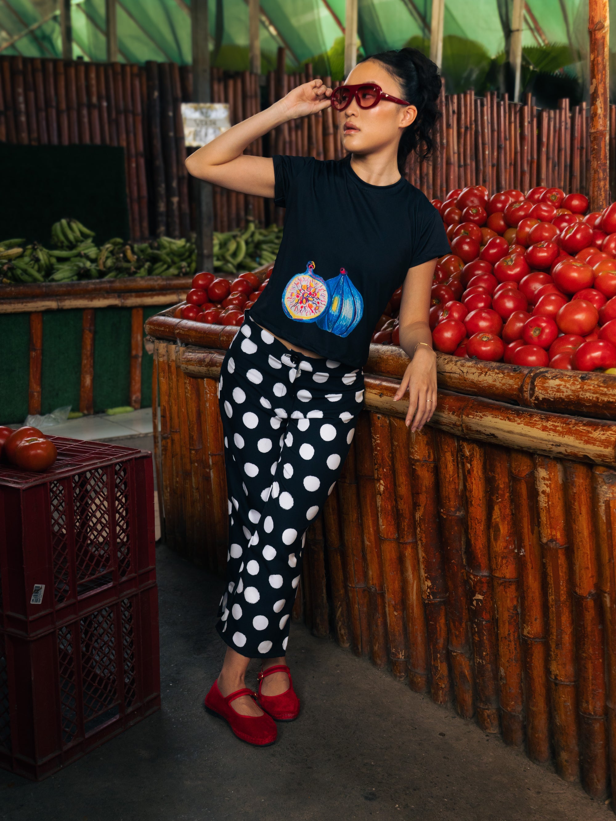Polka Capri