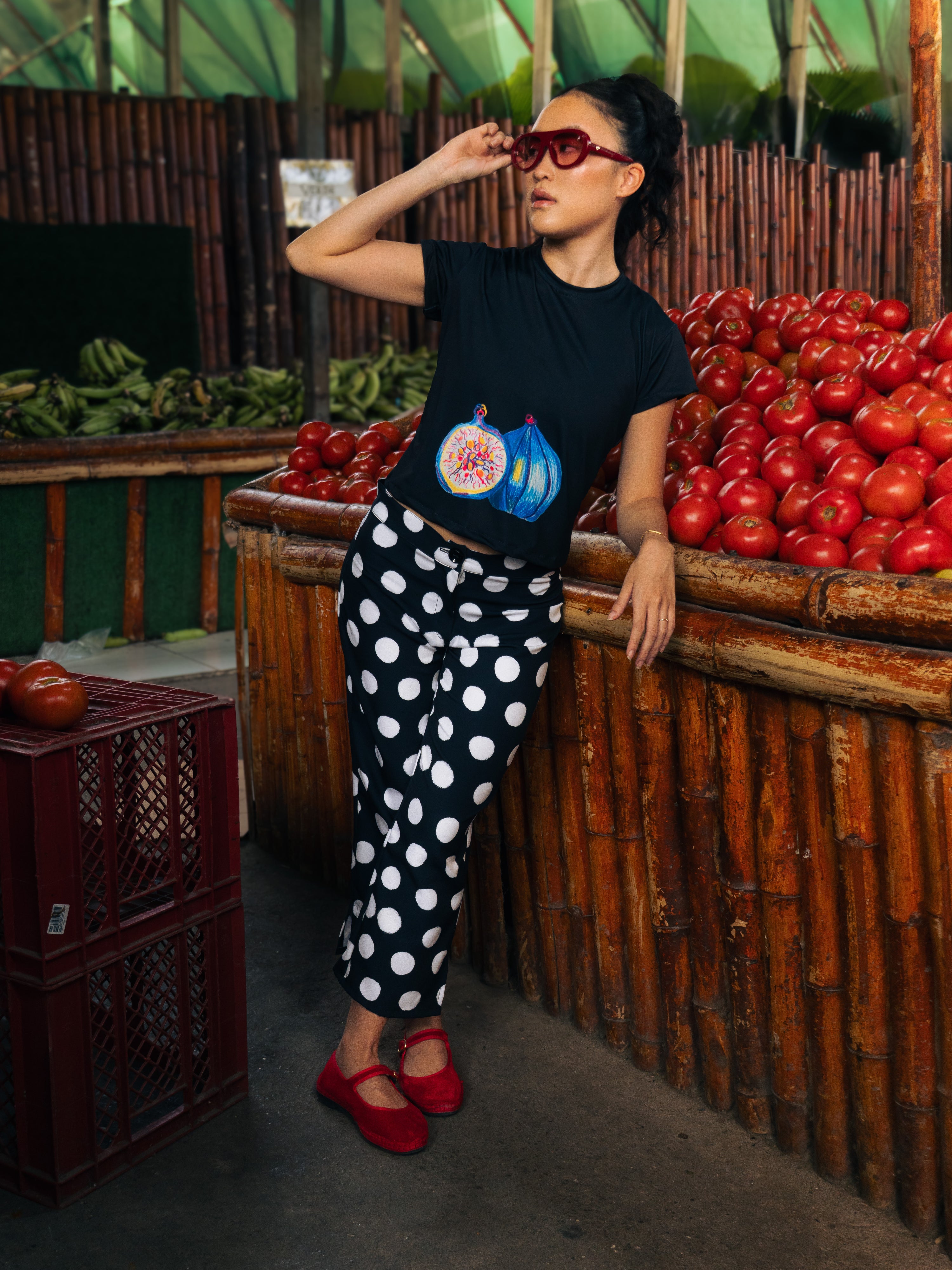 Polka Capri